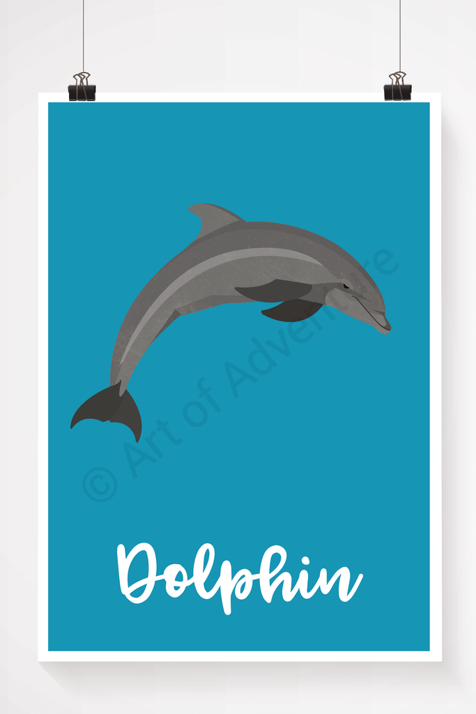 Dolphin - Art of Adventure