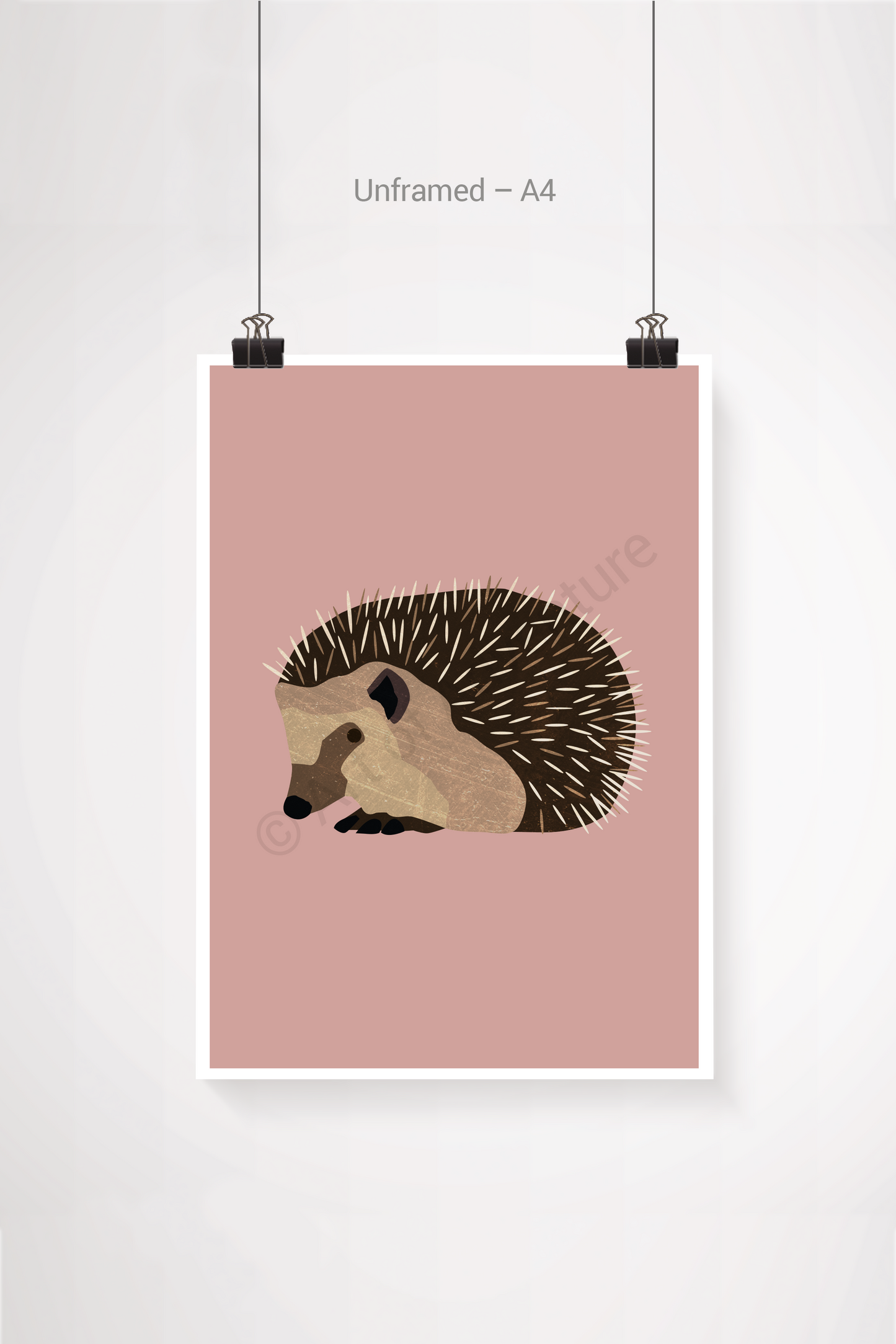 Hedgehog