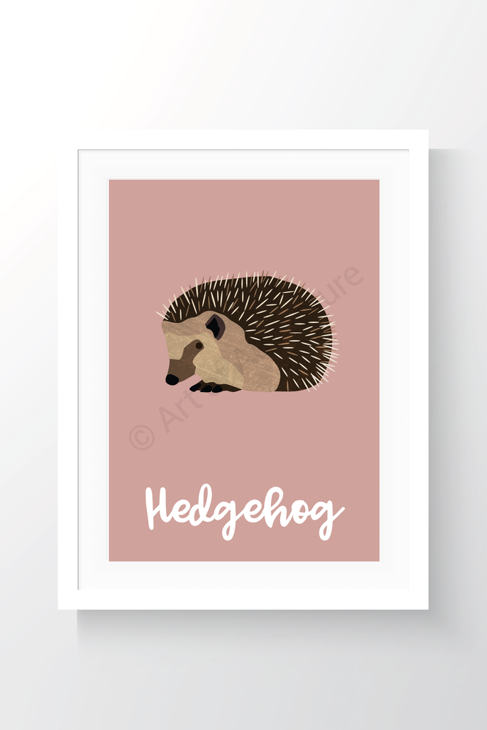 Hedgehog - Art of Adventure