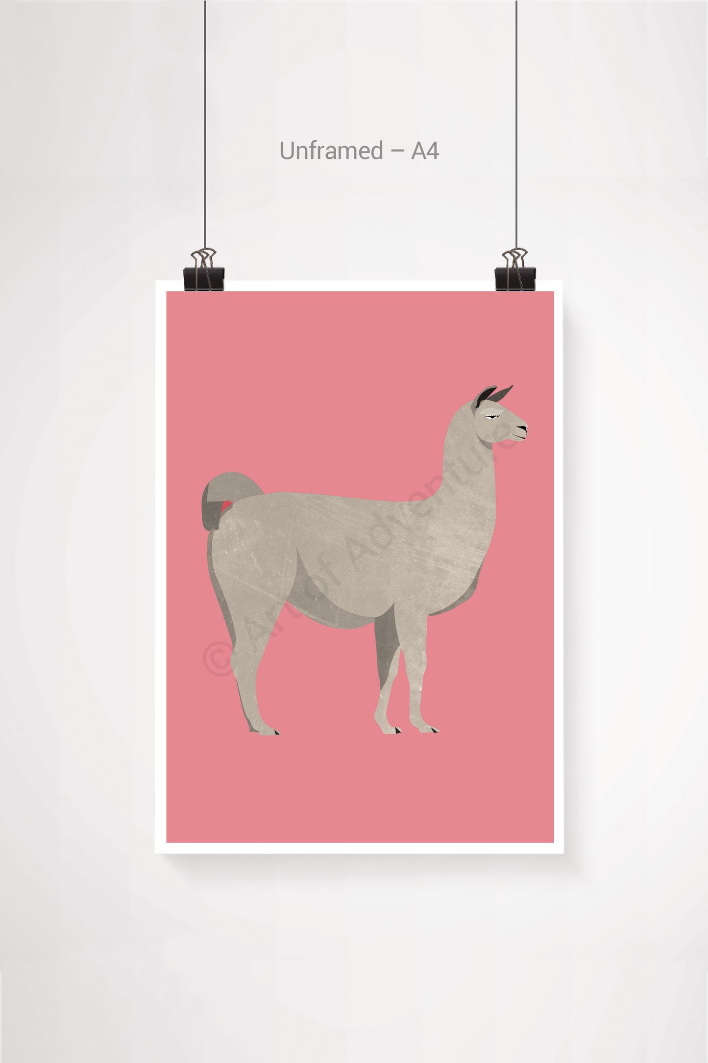 Llama