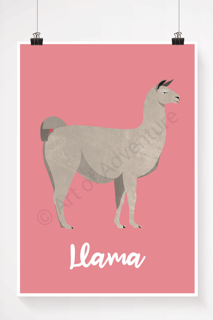 Llama - Art of Adventure