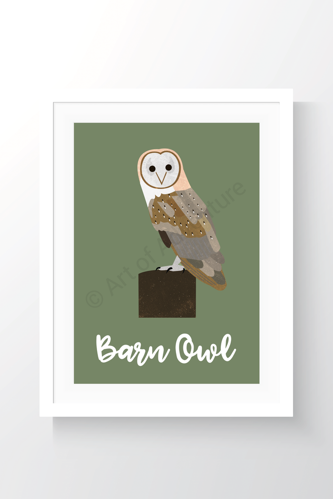 Barn Owl - Art of Adventure
