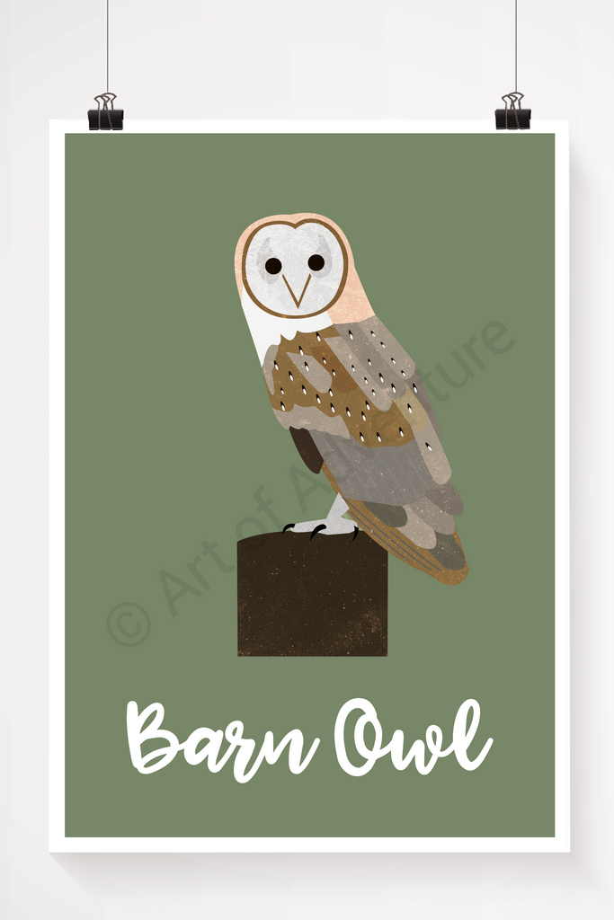 Barn Owl - Art of Adventure