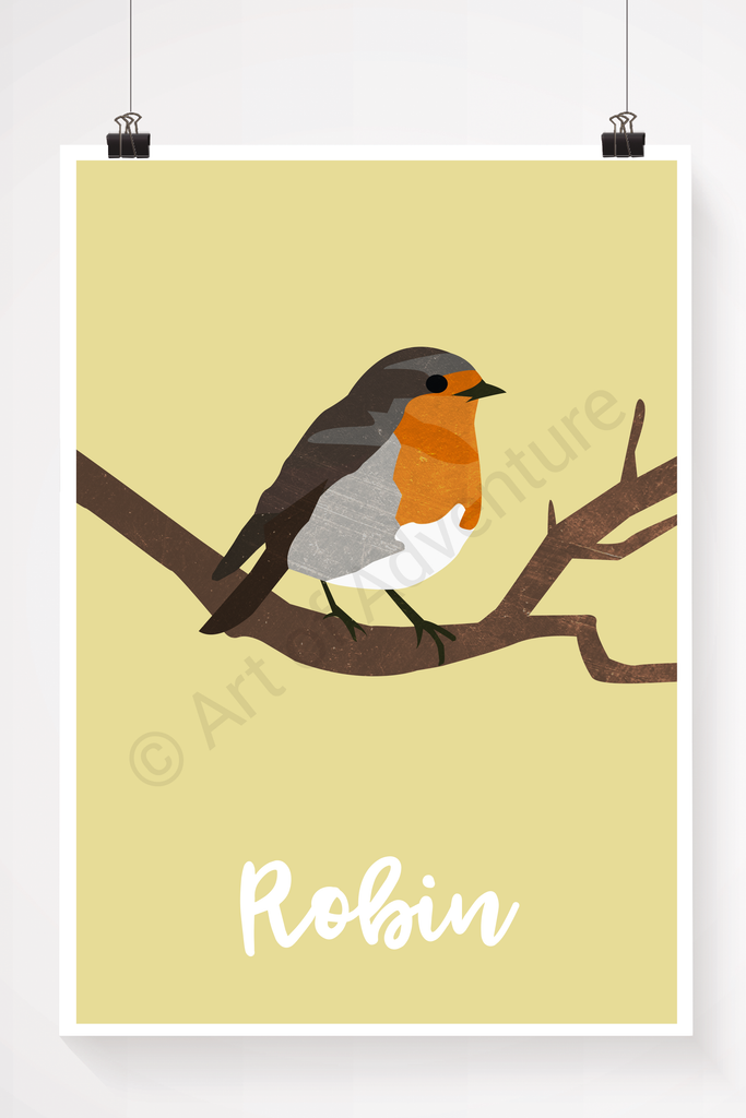 Robin - Art of Adventure