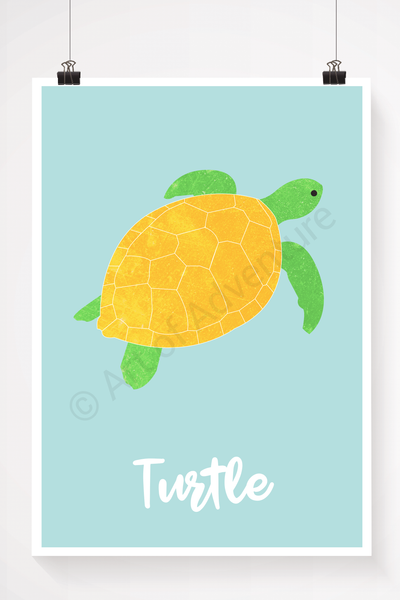 Turtle - Art of Adventure