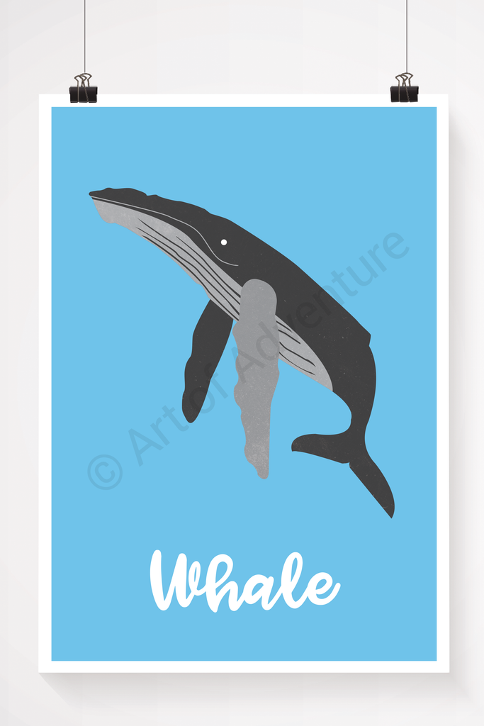 Whale - Art of Adventure